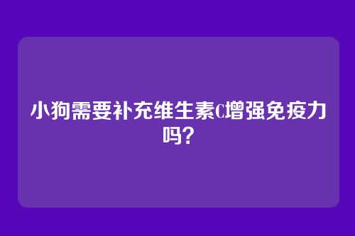 小狗需要补充维生素C增强免疫力吗？
