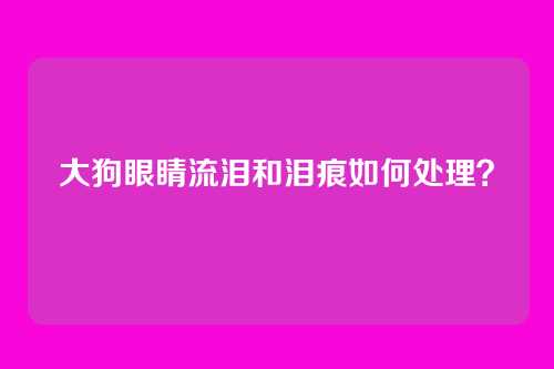 大狗眼睛流泪和泪痕如何处理？