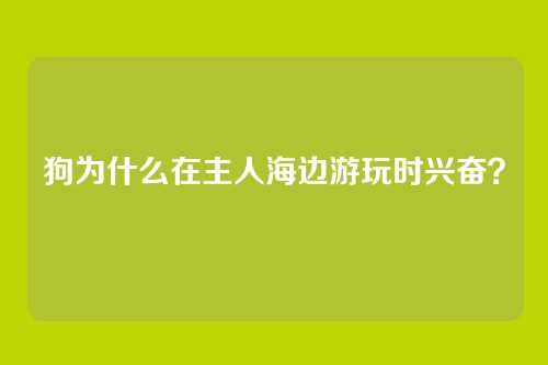 狗为什么在主人海边游玩时兴奋？
