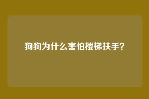 狗狗为什么害怕楼梯扶手？