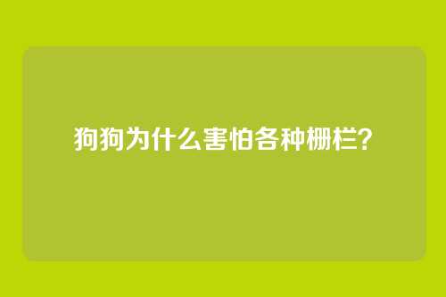 狗狗为什么害怕各种栅栏？