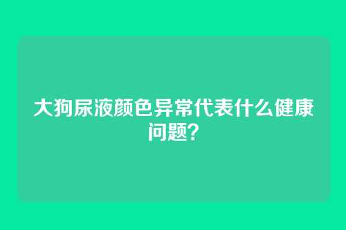 大狗尿液颜色异常代表什么健康问题？