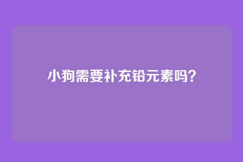 小狗需要补充铅元素吗？
