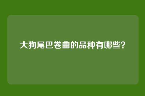 大狗尾巴卷曲的品种有哪些？