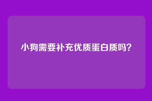 小狗需要补充优质蛋白质吗？