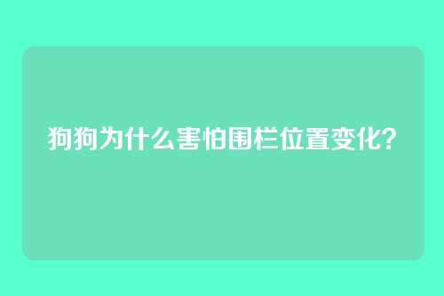 狗狗为什么害怕围栏位置变化？