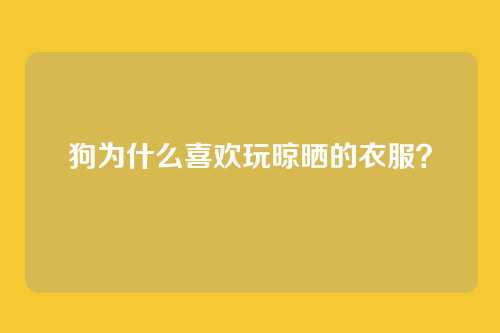 狗为什么喜欢玩晾晒的衣服？
