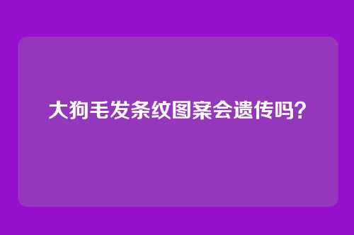 大狗毛发条纹图案会遗传吗？