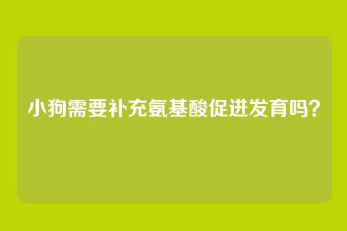小狗需要补充氨基酸促进发育吗？
