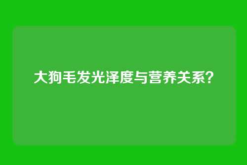 大狗毛发光泽度与营养关系？