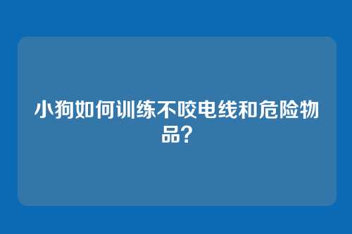 小狗如何训练不咬电线和危险物品？