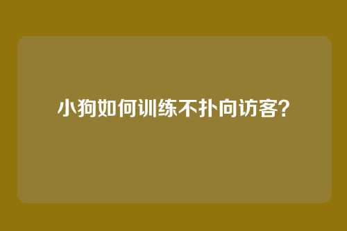 小狗如何训练不扑向访客？