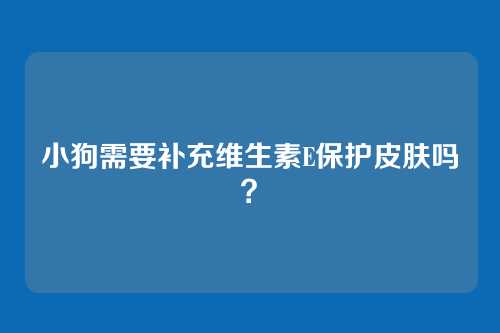 小狗需要补充维生素E保护皮肤吗？