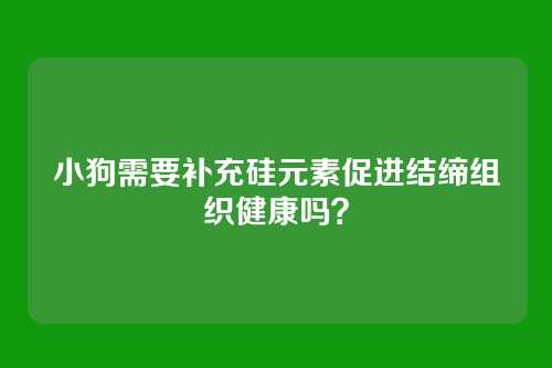 小狗需要补充硅元素促进结缔组织健康吗？