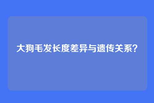 大狗毛发长度差异与遗传关系？