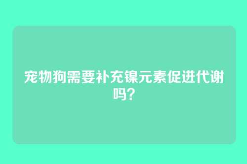 宠物狗需要补充镍元素促进代谢吗？