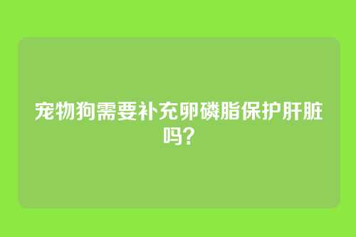 宠物狗需要补充卵磷脂保护肝脏吗？