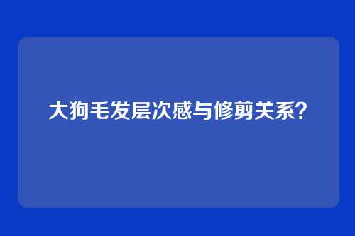 大狗毛发层次感与修剪关系？