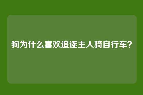 狗为什么喜欢追逐主人骑自行车？
