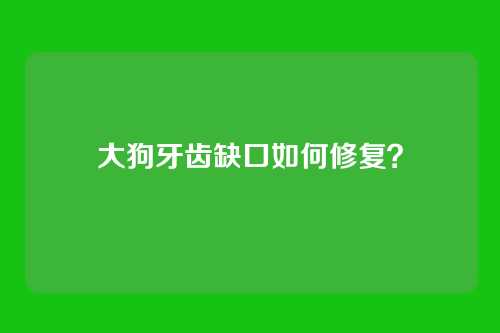 大狗牙齿缺口如何修复？