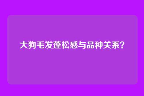 大狗毛发蓬松感与品种关系？