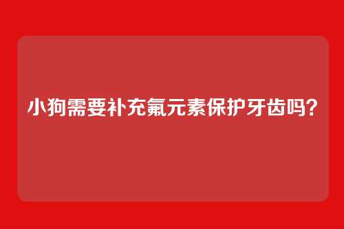 小狗需要补充氟元素保护牙齿吗？