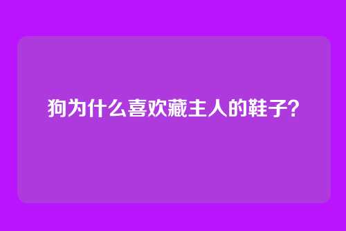 狗为什么喜欢藏主人的鞋子？