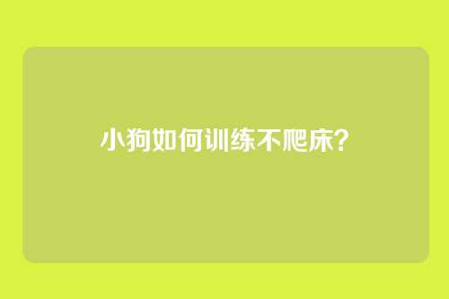 小狗如何训练不爬床？