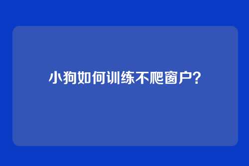 小狗如何训练不爬窗户？