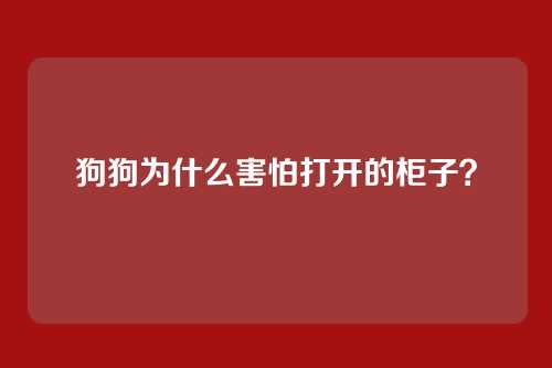 狗狗为什么害怕打开的柜子？
