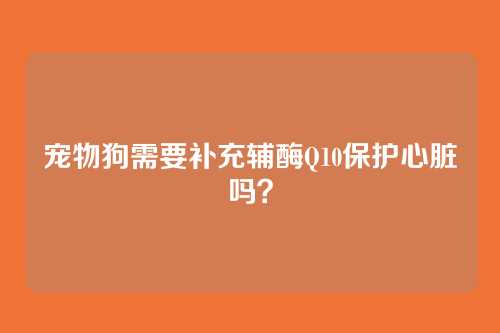 宠物狗需要补充辅酶Q10保护心脏吗？