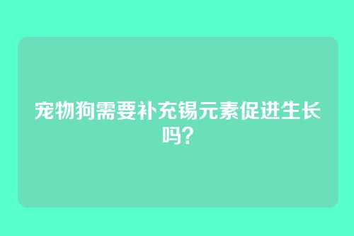 宠物狗需要补充锡元素促进生长吗？