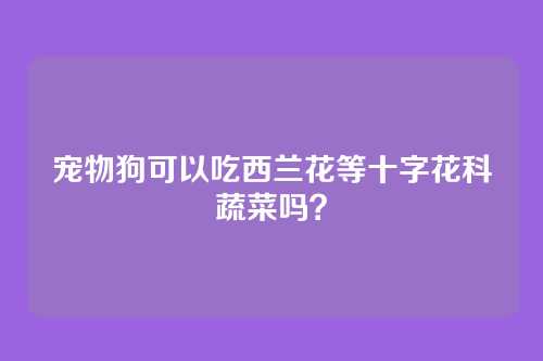 宠物狗可以吃西兰花等十字花科蔬菜吗？