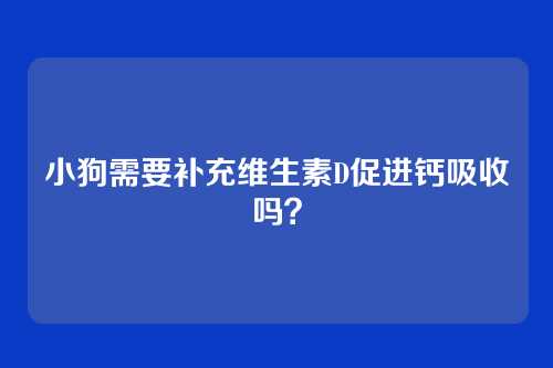 小狗需要补充维生素D促进钙吸收吗？