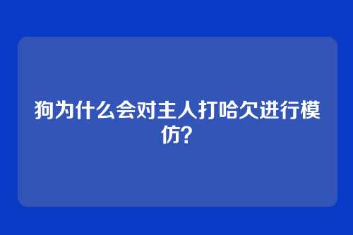 狗为什么会对主人打哈欠进行模仿？