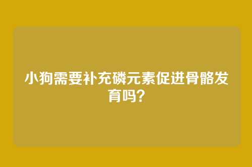 小狗需要补充磷元素促进骨骼发育吗？