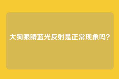 大狗眼睛蓝光反射是正常现象吗？
