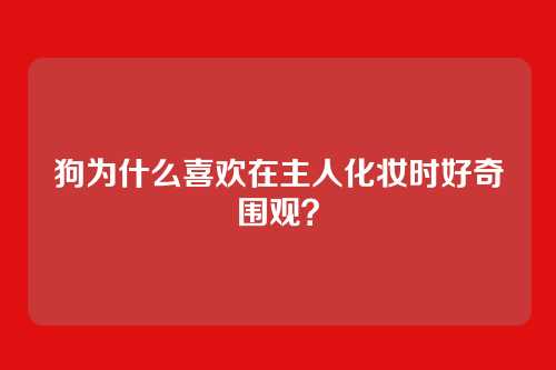 狗为什么喜欢在主人化妆时好奇围观？