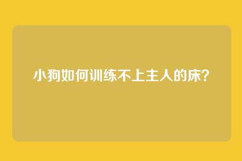 小狗如何训练不上主人的床？