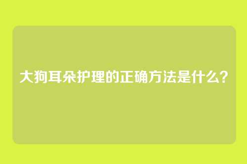 大狗耳朵护理的正确方法是什么？