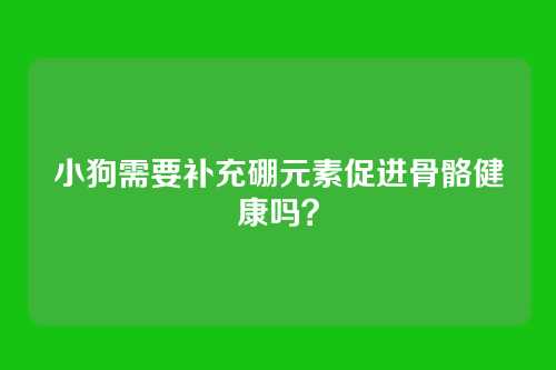 小狗需要补充硼元素促进骨骼健康吗？