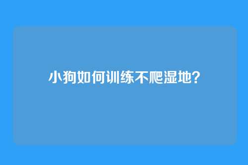 小狗如何训练不爬湿地？