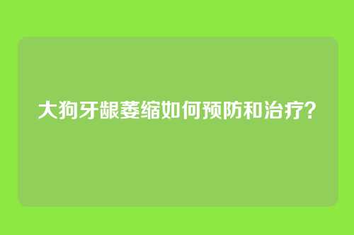 大狗牙龈萎缩如何预防和治疗？