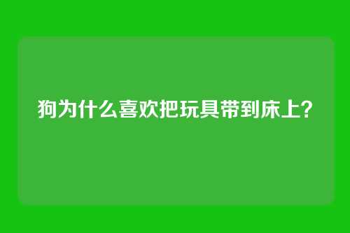 狗为什么喜欢把玩具带到床上？
