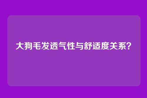 大狗毛发透气性与舒适度关系？