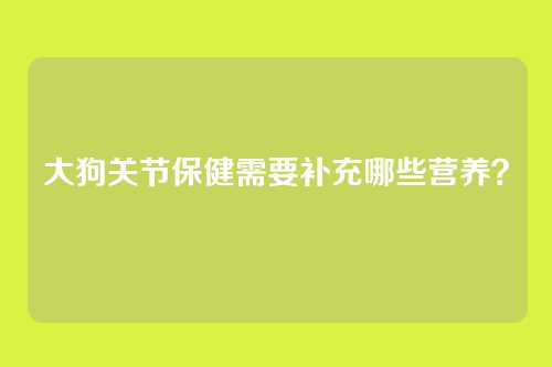 大狗关节保健需要补充哪些营养？