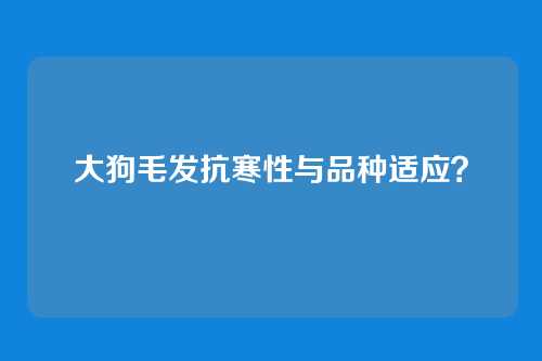 大狗毛发抗寒性与品种适应？