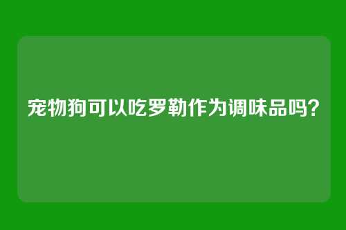 宠物狗可以吃罗勒作为调味品吗？