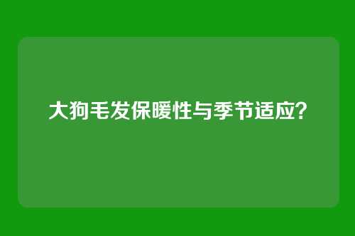 大狗毛发保暖性与季节适应？
