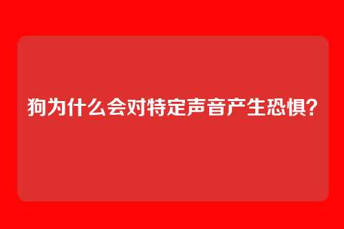 狗为什么会对特定声音产生恐惧？
